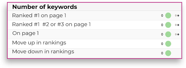 Keyword report a week before hiring us: no keywords on page 1